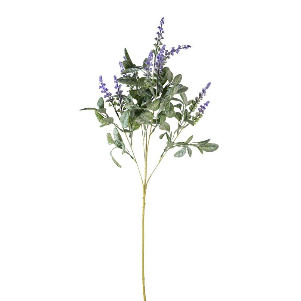 RAMO LAVANDA X5 LAVANDA CM75